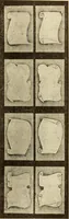 An illustration from How to paint flowers, scrolls and fancy borders for up-to-date show cards, posters, display signs and decorating (1915)