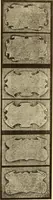 An illustration from How to paint flowers, scrolls and fancy borders for up-to-date show cards, posters, display signs and decorating (1915)