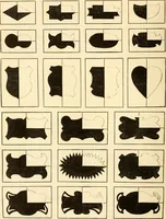 An illustration from How to paint flowers, scrolls and fancy borders for up-to-date show cards, posters, display signs and decorating (1915)