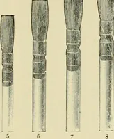 An illustration from How to paint : an instruction book with full description of all the materials necessary. (1894)