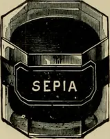 Picture 73 of 257 from How to paint : an instruction book with full description of all the materials necessary. (1894), leaf 131