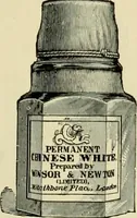 Picture 79 of 257 from How to paint : an instruction book with full description of all the materials necessary. (1894), leaf 136