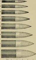 Picture 106 of 257 from How to paint : an instruction book with full description of all the materials necessary. (1894), leaf 163