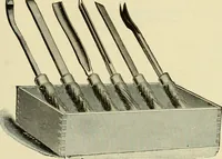 Picture 125 of 257 from How to paint : an instruction book with full description of all the materials necessary. (1894), leaf 214
