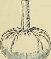 An illustration from How to paint : an instruction book with full description of all the materials necessary. (1894)