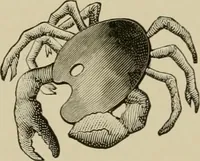 Picture 2 of 257 from How to paint : an instruction book with full description of all the materials necessary. (1894), leaf 23
