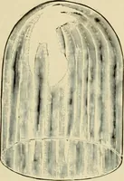 Picture 179 of 257 from How to paint : an instruction book with full description of all the materials necessary. (1894), leaf 294