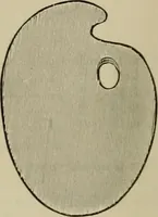 Picture 6 of 257 from How to paint : an instruction book with full description of all the materials necessary. (1894), leaf 31