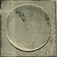 Picture 201 of 257 from How to paint : an instruction book with full description of all the materials necessary. (1894), leaf 313