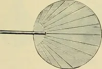 An illustration from How to paint : an instruction book with full description of all the materials necessary. (1894)