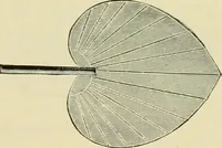 Picture 211 of 257 from How to paint : an instruction book with full description of all the materials necessary. (1894), leaf 320