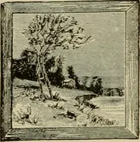 Picture 213 of 257 from How to paint : an instruction book with full description of all the materials necessary. (1894), leaf 323