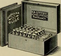 Picture 231 of 257 from How to paint : an instruction book with full description of all the materials necessary. (1894), leaf 349
