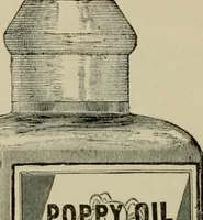 Picture 28 of 257 from How to paint : an instruction book with full description of all the materials necessary. (1894), leaf 43