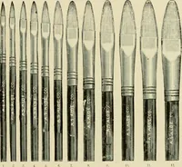 Picture 35 of 257 from How to paint : an instruction book with full description of all the materials necessary. (1894), leaf 48