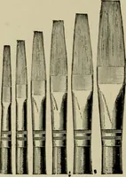 An illustration from How to paint : an instruction book with full description of all the materials necessary. (1894)