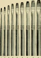Picture 51 of 257 from How to paint : an instruction book with full description of all the materials necessary. (1894), leaf 60