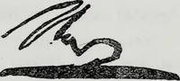 An illustration from How to read character in handwriting : a guide for the beginner and student of graphology (1910)