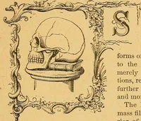 Picture 1 of 143 from How to read character : a new illustrated hand-book of phrenology and physiognomy, for students and examiners : with a descriptive chart (1890), leaf 10