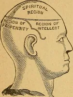Picture 136 of 143 from How to read character : a new illustrated hand-book of phrenology and physiognomy, for students and examiners : with a descriptive chart (1890), leaf 129
