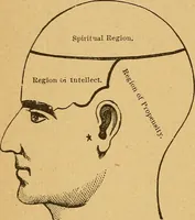 An illustration from How to read character : a new illustrated hand-book of phrenology and physiognomy, for students and examiners : with a descriptive chart (1890)