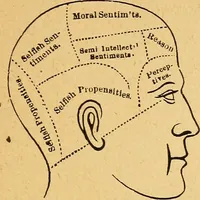 Picture 21 of 143 from How to read character : a new illustrated hand-book of phrenology and physiognomy, for students and examiners : with a descriptive chart (1890), leaf 36