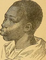 Picture 25 of 143 from How to read character : a new illustrated hand-book of phrenology and physiognomy, for students and examiners : with a descriptive chart (1890), leaf 38