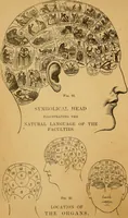 An illustration from How to read character : a new illustrated hand-book of phrenology and physiognomy, for students and examiners : with a descriptive chart (1890)