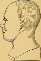 Picture 40 of 143 from How to read character : a new illustrated hand-book of phrenology and physiognomy, for students and examiners : with a descriptive chart (1890), leaf 56