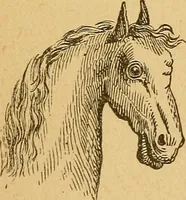 An illustration from How to read character : a new illustrated hand-book of phrenology and physiognomy, for students and examiners : with a descriptive chart (1890)
