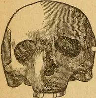 An illustration from How to read character : a new illustrated hand-book of phrenology and physiognomy, for students and examiners : with a descriptive chart (1890)