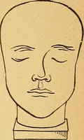 Picture 60 of 143 from How to read character : a new illustrated hand-book of phrenology and physiognomy, for students and examiners : with a descriptive chart (1890), leaf 68