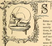 Picture 1 of 148 from How to read character : a new illustrated hand-book of phrenology and physiognomy, for students and examiners; with a descriptive chart (1891), leaf 10