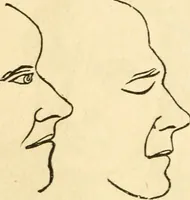 Picture 118 of 148 from How to read character : a new illustrated hand-book of phrenology and physiognomy, for students and examiners; with a descriptive chart (1891), leaf 113