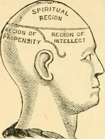 Picture 141 of 148 from How to read character : a new illustrated hand-book of phrenology and physiognomy, for students and examiners; with a descriptive chart (1891), leaf 129