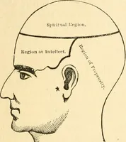 Picture 14 of 148 from How to read character : a new illustrated hand-book of phrenology and physiognomy, for students and examiners; with a descriptive chart (1891), leaf 33