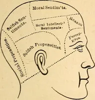 Picture 21 of 148 from How to read character : a new illustrated hand-book of phrenology and physiognomy, for students and examiners; with a descriptive chart (1891), leaf 36