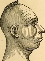 Picture 22 of 148 from How to read character : a new illustrated hand-book of phrenology and physiognomy, for students and examiners; with a descriptive chart (1891), leaf 36