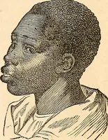 Picture 26 of 148 from How to read character : a new illustrated hand-book of phrenology and physiognomy, for students and examiners; with a descriptive chart (1891), leaf 38