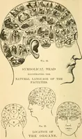 Picture 27 of 148 from How to read character : a new illustrated hand-book of phrenology and physiognomy, for students and examiners; with a descriptive chart (1891), leaf 41