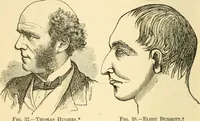 Picture 37 of 148 from How to read character : a new illustrated hand-book of phrenology and physiognomy, for students and examiners; with a descriptive chart (1891), leaf 53