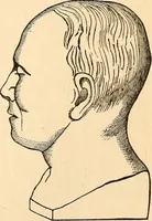 Picture 41 of 148 from How to read character : a new illustrated hand-book of phrenology and physiognomy, for students and examiners; with a descriptive chart (1891), leaf 56