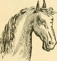 Picture 44 of 148 from How to read character : a new illustrated hand-book of phrenology and physiognomy, for students and examiners; with a descriptive chart (1891), leaf 57
