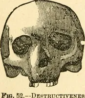Picture 49 of 148 from How to read character : a new illustrated hand-book of phrenology and physiognomy, for students and examiners; with a descriptive chart (1891), leaf 59