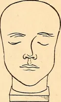 Picture 61 of 148 from How to read character : a new illustrated hand-book of phrenology and physiognomy, for students and examiners; with a descriptive chart (1891), leaf 68
