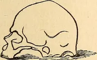 Picture 83 of 148 from How to read character : a new illustrated hand-book of phrenology and physiognomy, for students and examiners; with a descriptive chart (1891), leaf 86