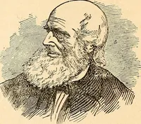 Picture 93 of 148 from How to read character : a new illustrated hand-book of phrenology and physiognomy, for students and examiners; with a descriptive chart (1891), leaf 96