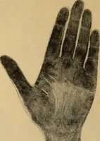 An illustration from How to read the human head and face (1903)