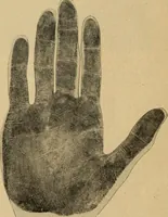 Picture 100 of 104 from How to read the human head and face (1903), leaf 103