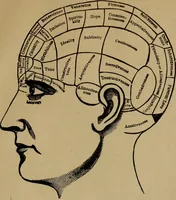 An illustration from How to read the human head and face (1903)
